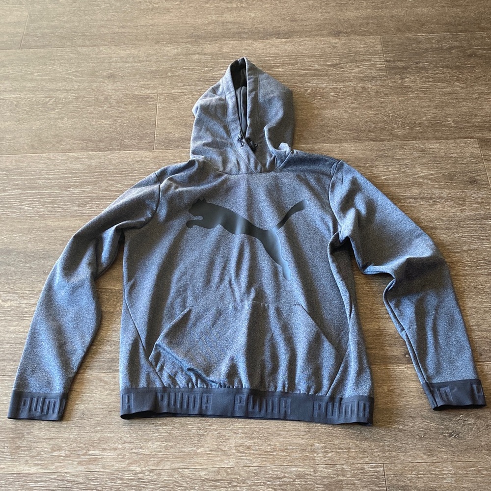 Puma regular fit hooded Sweatshirt